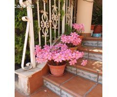 Chalet en Venta en la Nucia, Alicante