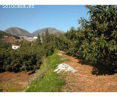 Finca rustica en Venta en Callosa dEn Sarria, Alicante