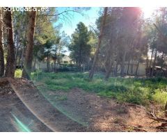 Finca rustica en Venta en Callosa dEn Sarria, Alicante