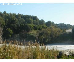 Finca rustica en Venta en Callosa dEn Sarria, Alicante
