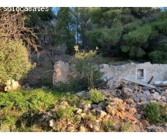 Finca rustica en Venta en Callosa dEn Sarria, Alicante
