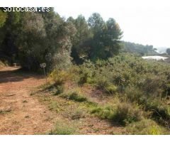 Finca rustica en Venta en Callosa dEn Sarria, Alicante