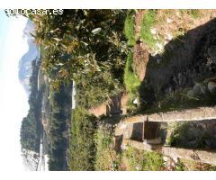 Finca rustica en Venta en Callosa dEn Sarria, Alicante