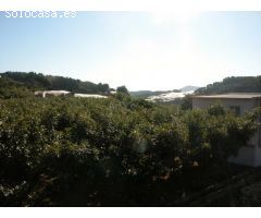 Finca rustica en Venta en Callosa dEn Sarria, Alicante