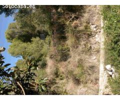 Finca rustica en Venta en Callosa dEn Sarria, Alicante