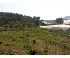 Finca rustica en Venta en Callosa dEn Sarria, Alicante