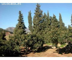 Finca rustica en Venta en Callosa dEn Sarria, Alicante