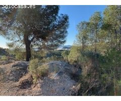 Finca rustica en Venta en Callosa dEn Sarria, Alicante