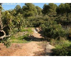 Finca rustica en Venta en Callosa dEn Sarria, Alicante