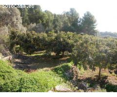 Finca rustica en Venta en Callosa dEn Sarria, Alicante