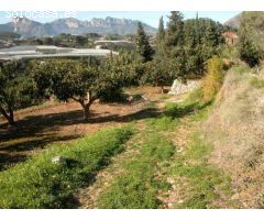 Finca rustica en Venta en Callosa dEn Sarria, Alicante