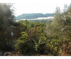 Finca rustica en Venta en Callosa dEn Sarria, Alicante