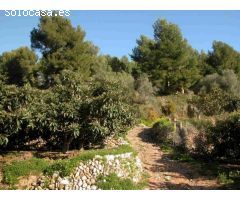 Finca rustica en Venta en Callosa dEn Sarria, Alicante