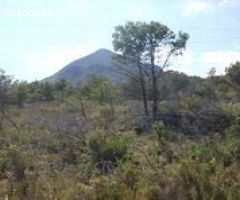 Parcela en Venta en la Nucia, Alicante