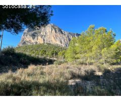 Finca rustica en Venta en Polop de la Marina, Alicante