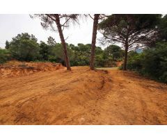 Parcela en Tordera, zona Les Ferreres