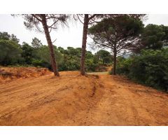 Parcela en Tordera, zona Les Ferreres