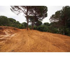 Parcela en Tordera, zona Les Ferreres