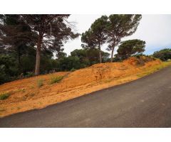 Parcela en Tordera, zona Les Ferreres