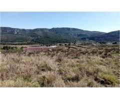 RUGAT (VALENCIA) - 3 PARCELAS - SE VENDE