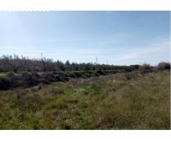 CASTELLÓ DE RUGAT (VALENCIA) - PARCELA - SE VENDE