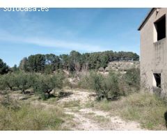 CASTELLÓ DE RUGAT (VALENCIA) - PARCELA - SE VENDE