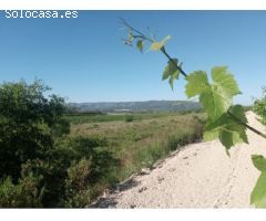 CASTELLÓ DE RUGAT (VALENCIA) - GRAN PARCELA - SE VENDE