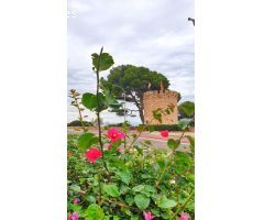Apartamento en Venta en Miami Playa, Tarragona