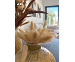 Bungalow de planta alta de 2 dormitorios con solarium privado a la venta en San Fulgencio(Alicante).