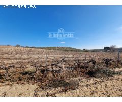 Finca rustica en Venta en Valle del Álamo, Madrid