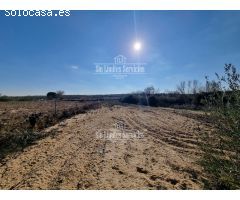 Finca rustica en Venta en Valle del Álamo, Madrid
