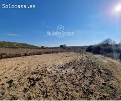 Finca rustica en Venta en Valle del Álamo, Madrid