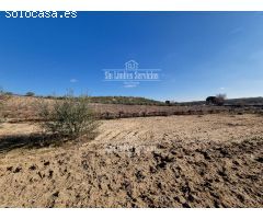 Finca rustica en Venta en Valle del Álamo, Madrid