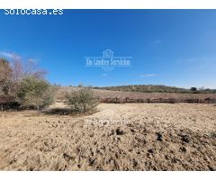 Finca rustica en Venta en Valle del Álamo, Madrid