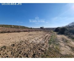 Finca rustica en Venta en Valle del Álamo, Madrid