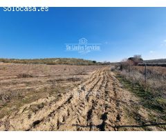 Finca rustica en Venta en Valle del Álamo, Madrid