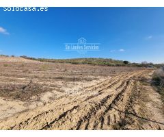 Finca rustica en Venta en Valle del Álamo, Madrid