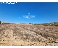 Finca rustica en Venta en Valle del Álamo, Madrid