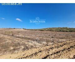 Finca rustica en Venta en Valle del Álamo, Madrid