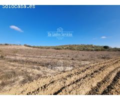 Finca rustica en Venta en Valle del Álamo, Madrid