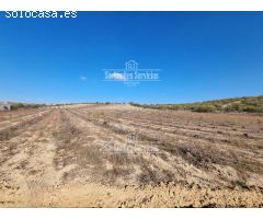 Finca rustica en Venta en Valle del Álamo, Madrid