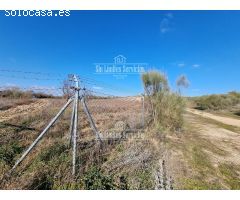 Finca rustica en Venta en Valle del Álamo, Madrid