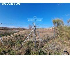 Finca rustica en Venta en Valle del Álamo, Madrid