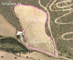 Finca rustica en Venta en Valle del Álamo, Madrid