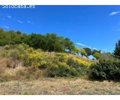 Parcela en Venta en Añorbe, Navarra