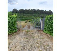 Finca rustica en Venta en Mendigorría, Navarra
