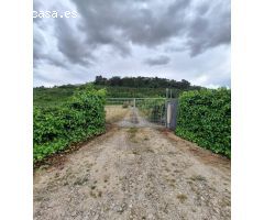 Finca rustica en Venta en Mendigorría, Navarra