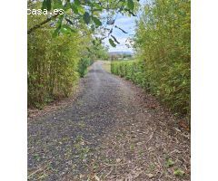 Finca rustica en Venta en Mendigorría, Navarra