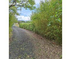 Finca rustica en Venta en Mendigorría, Navarra