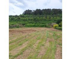 Finca rustica en Venta en Mendigorría, Navarra